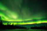 Fototapeta Tęcza - Northern lights (Aurora borealis) with starry sky above forest, Yellowknife, Canada