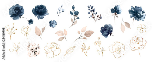 Set watercolor design elements of roses collection garden navy blue flowers, ...