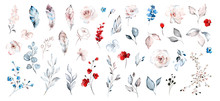 Set Watercolor Elements Of Roses Collection Garden Red, Blue Flowers, Leaves, Branches, Botanic  Illustration Isolated On White Background.