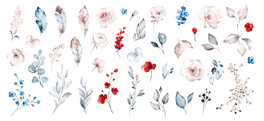 Set watercolor elements of roses collection garden red, blue flowers, leaves, branches, Botanic  illustration isolated on white background.