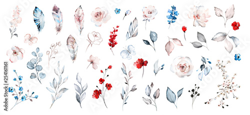 Set watercolor elements of roses collection garden red, blue flowers, leaves,...