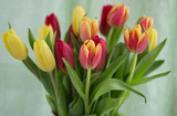 Fototapeta Tulipany - Bouquet with tulips.