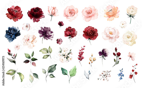 Set watercolor elements of roses collection garden red, burgundy flowers, lea...