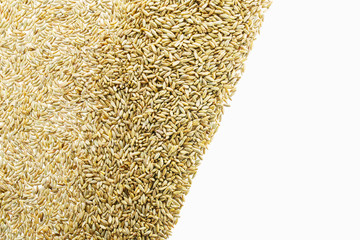 Wheat Grain Isolated on White. Diagonal Composition with Copy Space for Text. Grain Cereal Background Texture