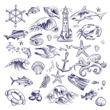 Hand Drawn Marine Set. Sea Ocean Voyage Lighthouse Shark Crab Octopus Starfish Knot Crab Shell Lifebuoy Collection