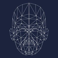 Wall Mural - human face low polygon. wireframe mash head shape consisting of connected dots and lines. abstract h