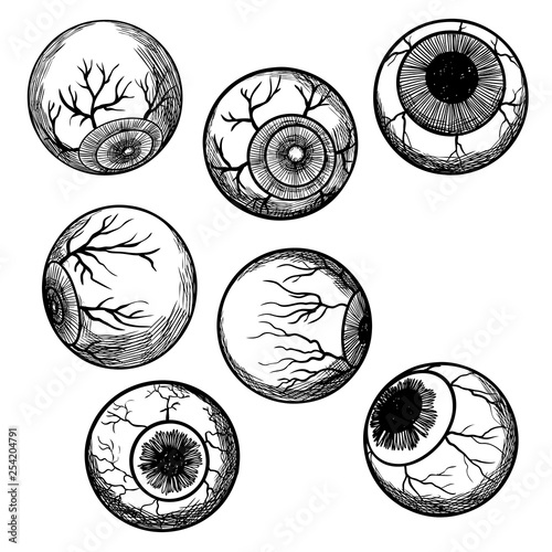 Engraving hand drawing human eyeball set. Eye collection