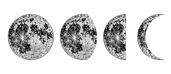 Wall Mural - moon phases. hand drawn crescent. astrology and astronomy elemnts. vector.