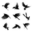 © desertsands - Set of birds flock. Flying crows birds. Hand drawing. Vector.