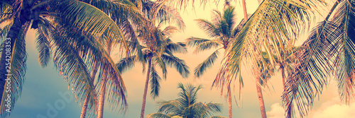 Cuadros en Lienzo Panoramic palm trees tropical background, vintage style process banner