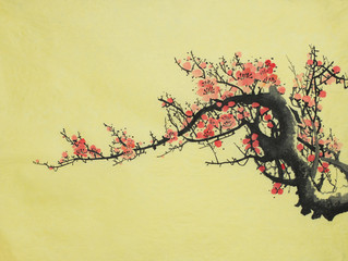  flowering branch of plum