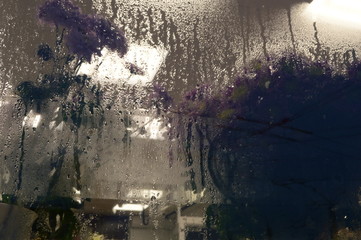 flower nature rain abstract spring 