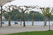 An der Ufer-Promenade im Stadtpark von Konstanz / Bodensee