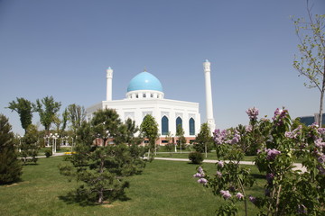 Poster - White mosque in Tashkent in Uzbekistan
