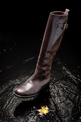 Wall Mural - brown leather female boot