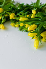 Wall Mural - Background of yellow tulips on white table. Side view, space for text