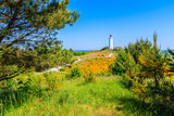 Fototapeta Natura - Dornbusch lighthouse in spring landscape with flowers on northern coast of Hiddensee island, Baltic Sea, Germany