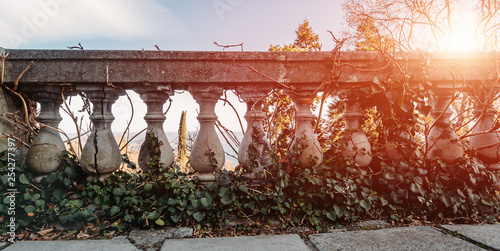 Fotografía Ancient cracked balusters of vintage railing overgrown with green plant in sunse