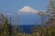 Mt.Fuji seen from Izu Peninsula,Shizuoka Prefecture Japan.