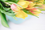 Fototapeta Tulipany - Spring flowers yellow tulips on a white background