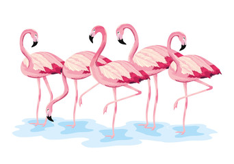 Wall Mural - tropical flamingos exotic wild animals