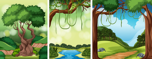 Set of nature landscape