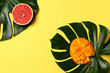 Tasty exotic fruits with tropical leaves on color background