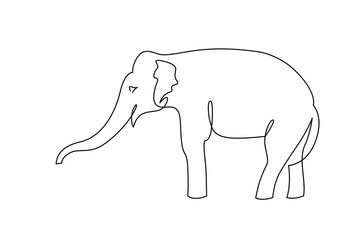 Wall Mural - Elephant continuous one line drawings set