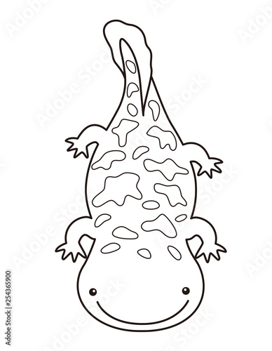 オオサンショウウオ ハンザキ Giant Salamander ぬりえ Stock イラスト Adobe Stock
