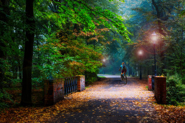 Wall Mural - Cycling in golden shine trail foggy scene in the park, woman riding on bike the morning sun shining through the trees, blue sky in background.