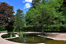 Petit étang Artificiel Du Parc Fenestre à La Bourboule ( Puy De Dôme )