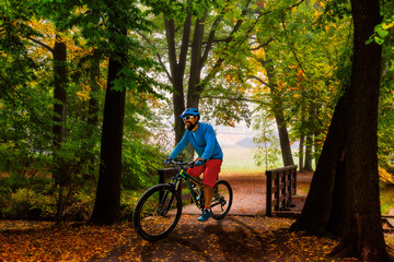 Poster - Golden shine autumn panorama scene in the forest, the morning sun shining through the trees, blue sky in background.