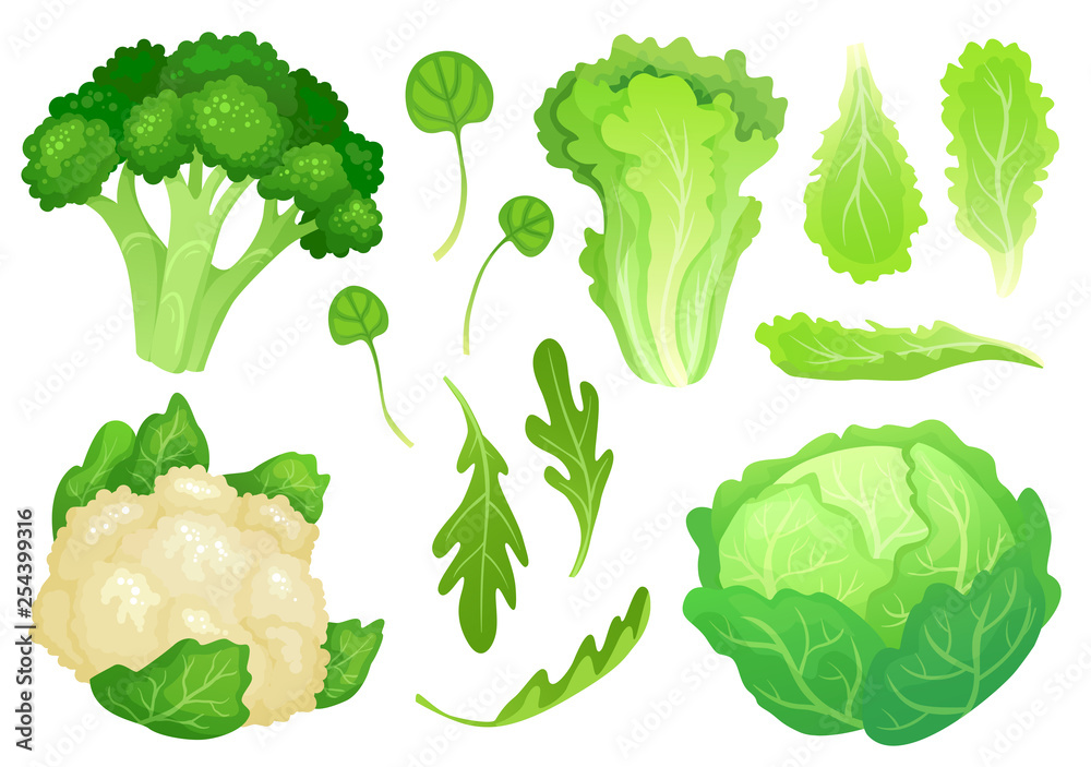 Cartoon cabbages. Fresh lettuce leaves, vegetarian diet salad and healthy garden green cabbage. Cauliflower head vector illustration - obrazy, fototapety, plakaty 