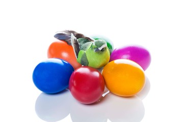 Bird in easter nest - colorful eggs on a white background - spring