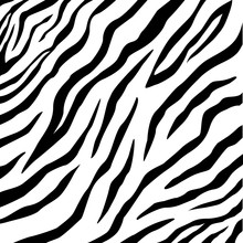 Vector Zebra Pattern For Background