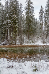 Wall Mural - around the Hintersee at winter time