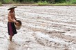 asian farmer throwing rice seed by hand on wet mud in rice field