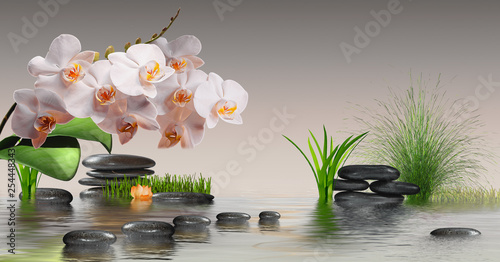 Wandbild mit Orchideen, Steinen im Wasser © i-picture