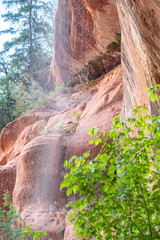 Poster - Waterfalls in Zion National Park, Utah