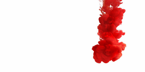 Poster - Underwater flowers concept