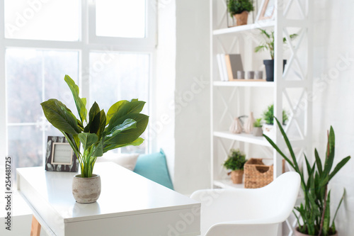 Cozy Interior Design Of Modern Studio Apartment In Scandinavian