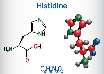 Poster - Histidine (L- histidine , His, H) amino acid molecule. It is used in the biosynthesis of proteins. Structural chemical formula and molecule model