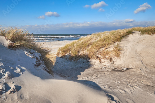 Dekoracja na wymiar  wejscie-dla-pieszych-na-plaze-na-wyspie-hiddensee-baltic-see-w-polnocnych-niemczech