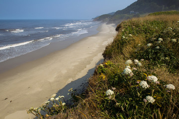 Oregon coast