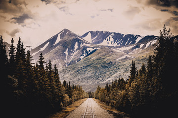 Wall Mural - Railroad to Denali National Park, Alaska with impressive mountains