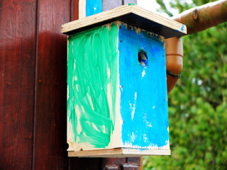 Self made birdhouse painted by a kid in green and blue hanging on the wooden wall.The concept of early development, hand made simple wooden constructions.