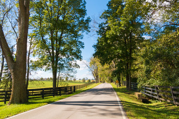 Wall Mural - Country road along forse farms.