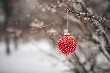  Red Christmas Ornament Hanging In A Tree.