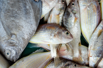 Sea fresh fish at street market in Thailand. Seafood concept.