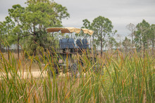 Swamp Buggy